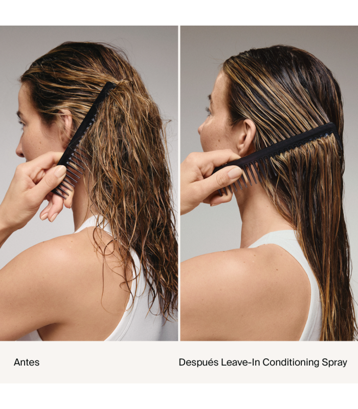 Leave-In Conditioning Spray