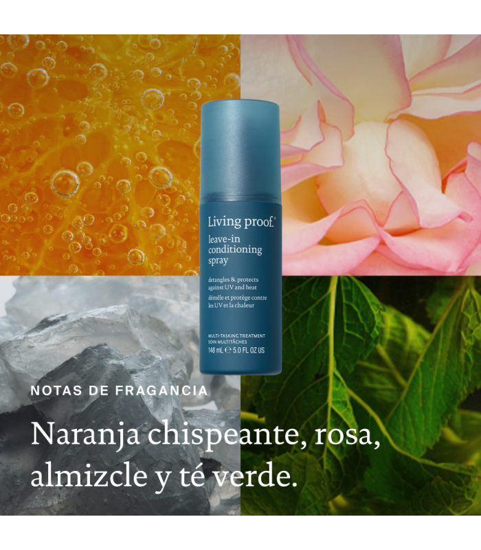 Leave-In Conditioning Spray