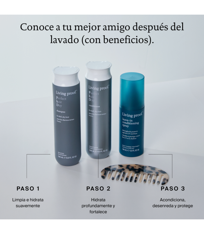 Leave-In Conditioning Spray