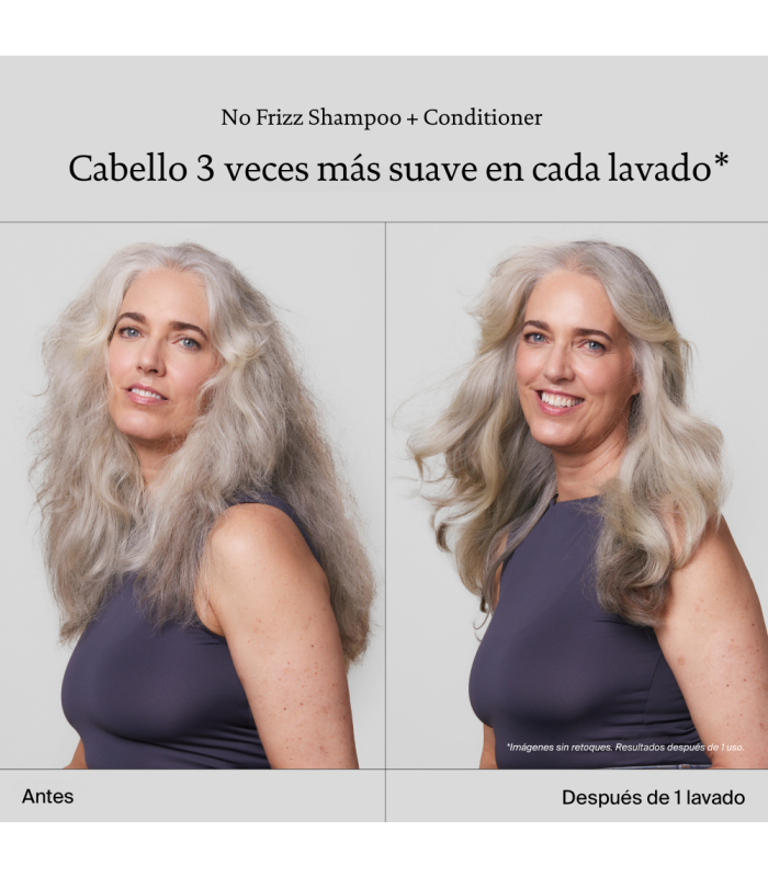 ̶f̶r̶i̶z̶z̶ ® Conditioner